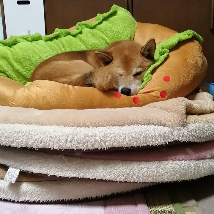 F1aa7263 af6d 4ca9 842c 0bf662fc5139 1669735120024