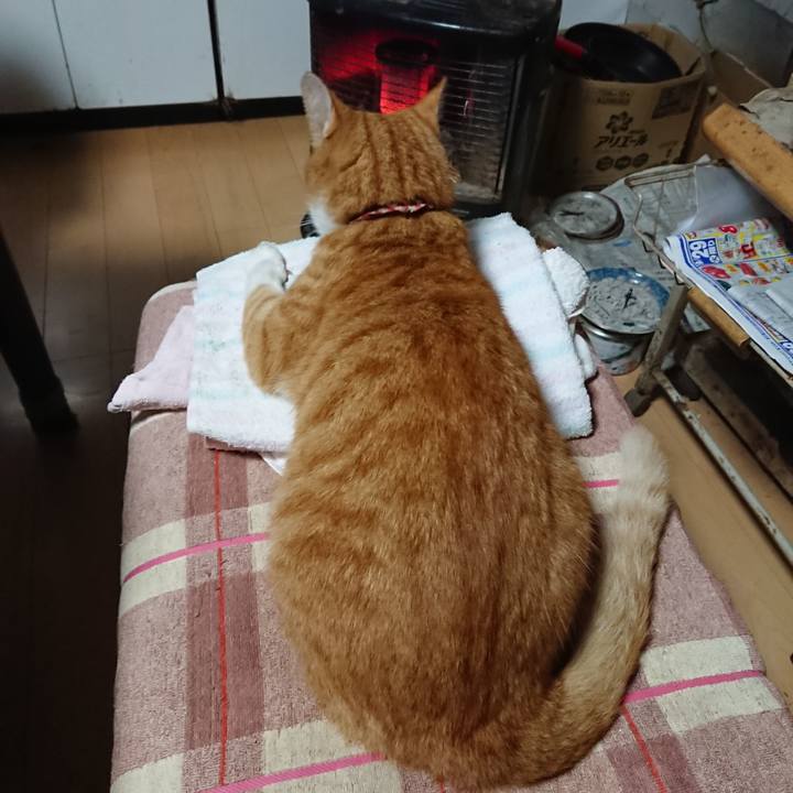 F1aa737b ef36 4005 a71c 0bc8ad9a53fc 1602019844443