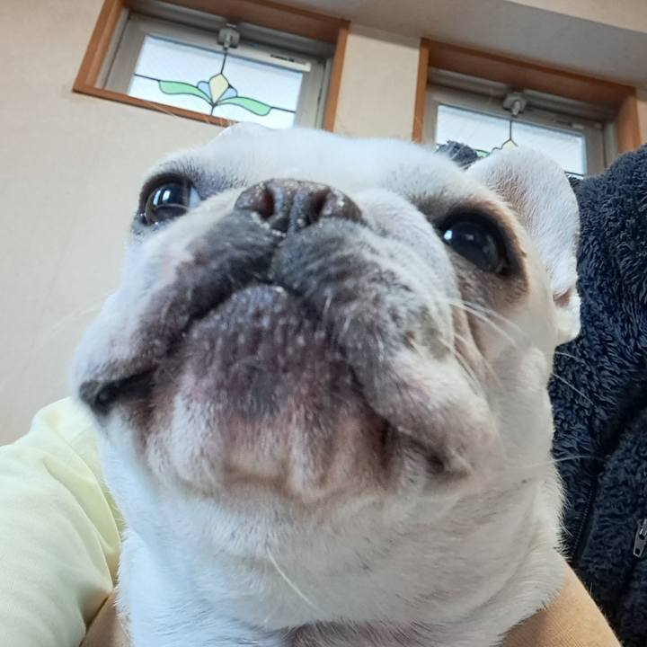 F1aa8485 af9b 40c4 8305 379b742eaa81 1700606641484