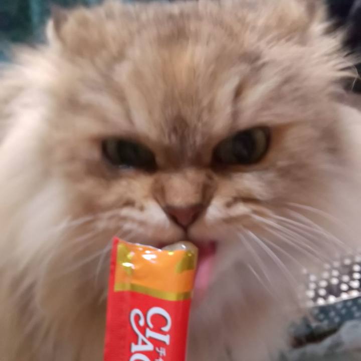 F1aa898f 777b 4913 a694 34d895d91af7 1609396849071