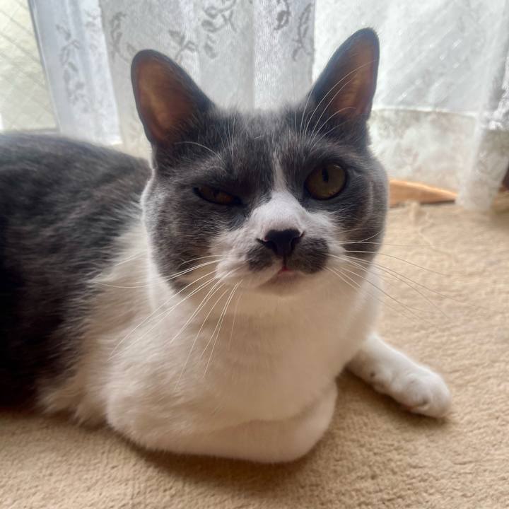 F1aab1bf d7f7 4be0 9924 386e8ea1f7af 1757809646164