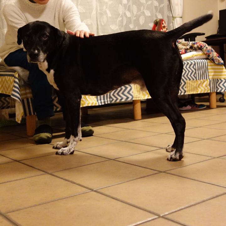 F1aad110 a444 4fef a463 4a1c9c4b22a5 1732617643513