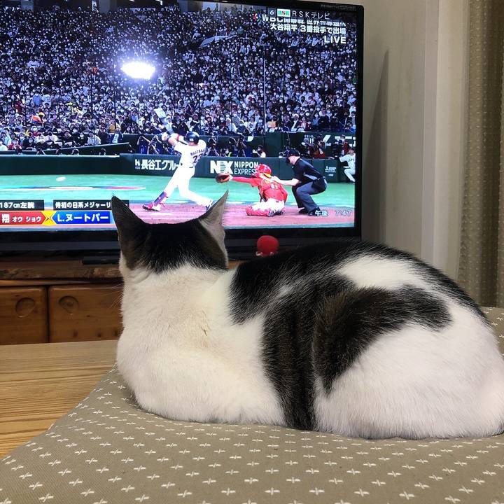 F1ab0eaf 142e 4be3 a1fb 3f2e0acd343d 1678359227978