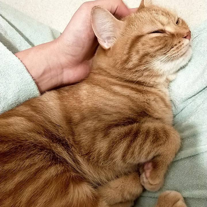 F1ab3b1e 8dc5 4bf2 9fac 14df17f68e0d 1603151491007