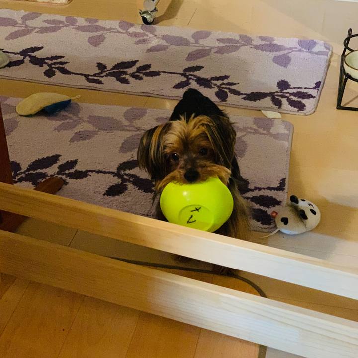 F1ab485f 8e90 417d 88cf d74d57705a73 1537947015063