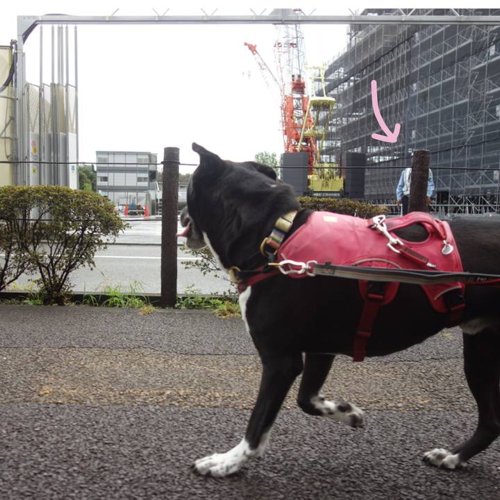 F1ab6760 1ae5 4537 8381 13952b3a329a 1696899698887