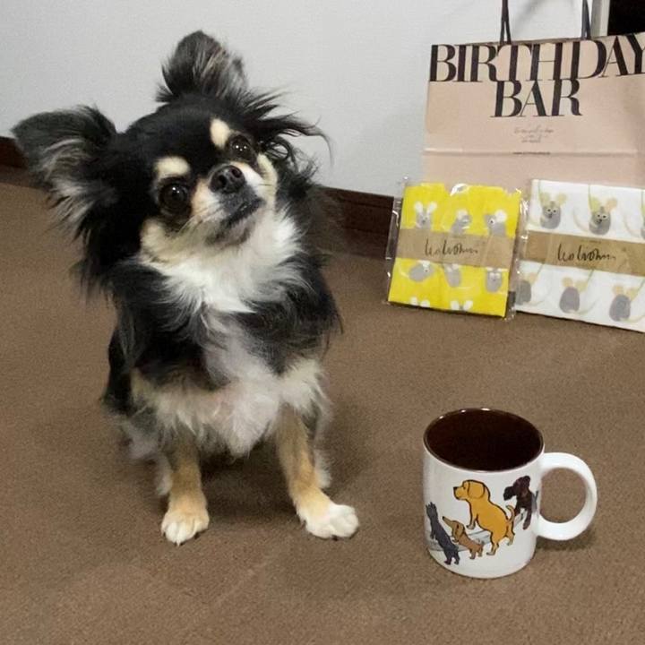 F1abe26a c3dc 4c6a ab0c dd4257ce7e96 1651962084411