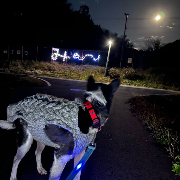 F1abed0b 27c0 40b7 9597 b2a1fc1b1d83 1734299959479