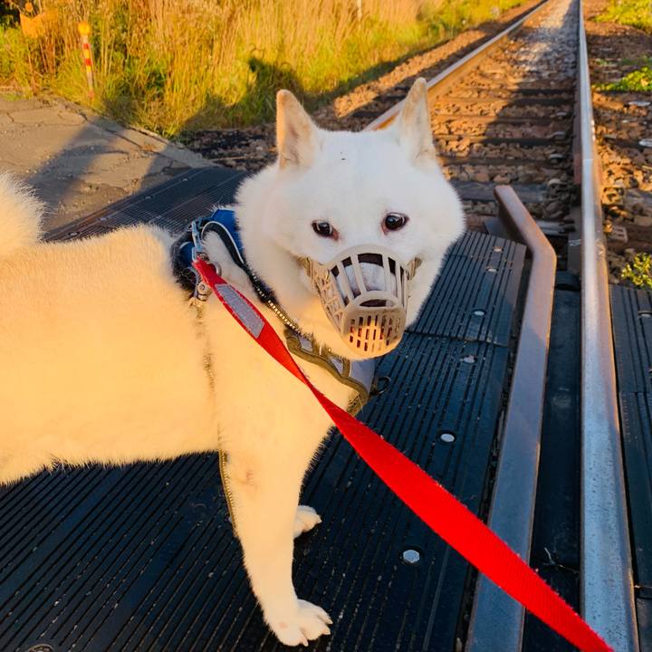 F1ac3ef3 a627 4abf 9f1a 15647c3ad44b 1632519006685