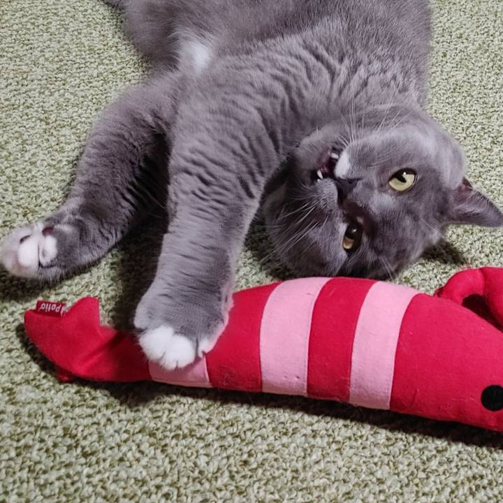 F1ac5044 e417 4b0f af8f cbd70427d0f1 1631348535082