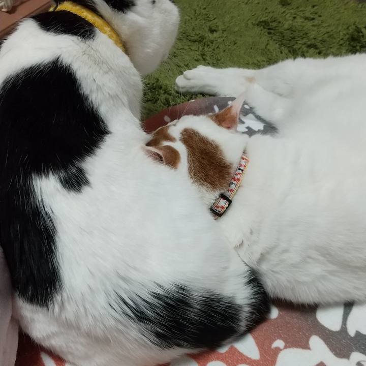 F1ac632d 3996 40da 9b6d a4da0f793510 1675162189613