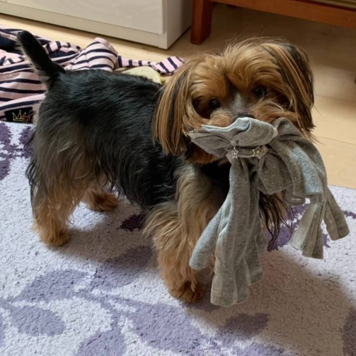 F1ac80c0 0d99 4cde bb00 3dc739ed9686 1564874496483