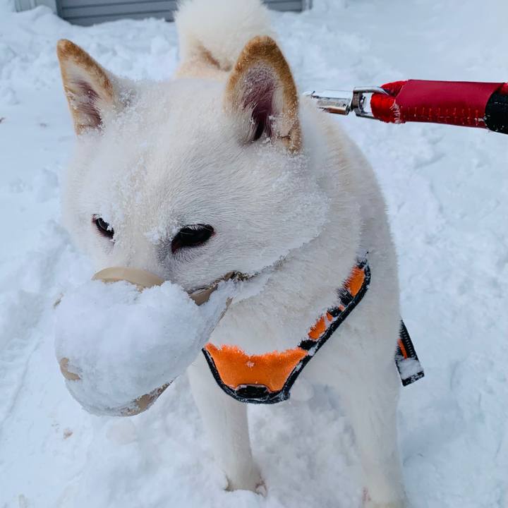 F1aca36f ac63 441d a9a5 65a9f14d5930 1674429226728