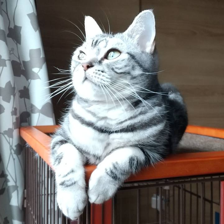 F1acaade 9acd 4519 b52b a2d2d849c092 1618705970315