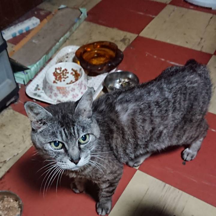 F1acce74 2382 47c0 be5e 6af4c4a386bd 1567974473872