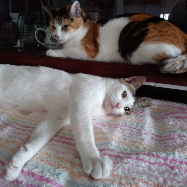 F1acce81 ae21 47ae b0e7 4b7ea56c0c2e 1654520192321