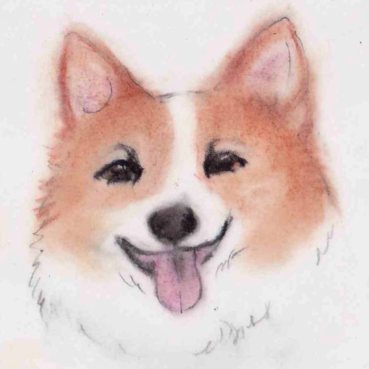 F1acdebf 6e92 4426 ba56 0c50219b0bdd 1634563512824