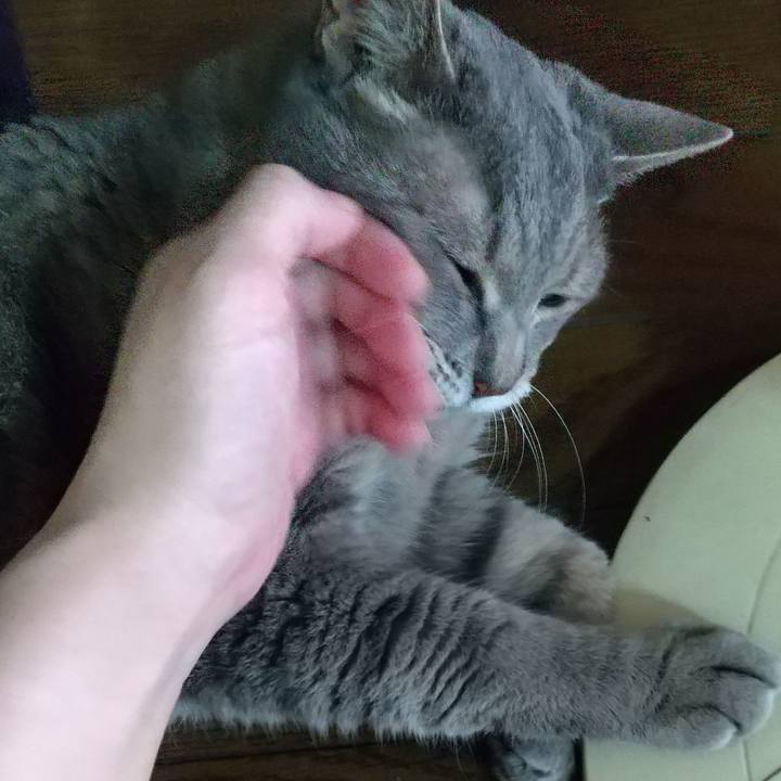 F1acf8cb 9d6e 420e aafb 96c55b980e63 1657769811051