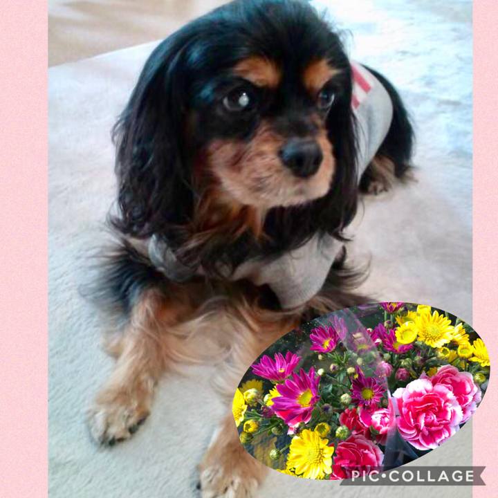 F1ad418f 3f0b 4cb0 ae1f 92b50e728a84 1581659529559