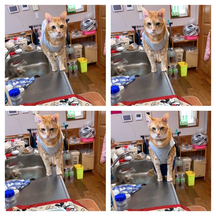 F1ad5090 2192 4a9c 8e44 1aaa5e850165 1618202255154