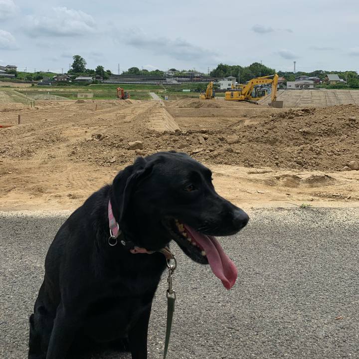 F1ad54d5 c9c9 448d b48e 832c6f5dc764 1593762209689