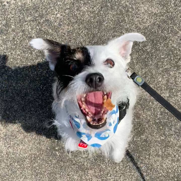 F1ad84db 88f0 4bfb b5e6 3772075297a2 1688342791119