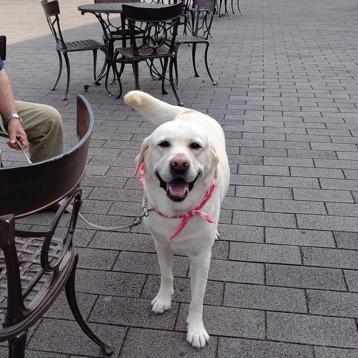 F1ad891f 323d 4d8c bda0 e19de3a964c5 1590404913555