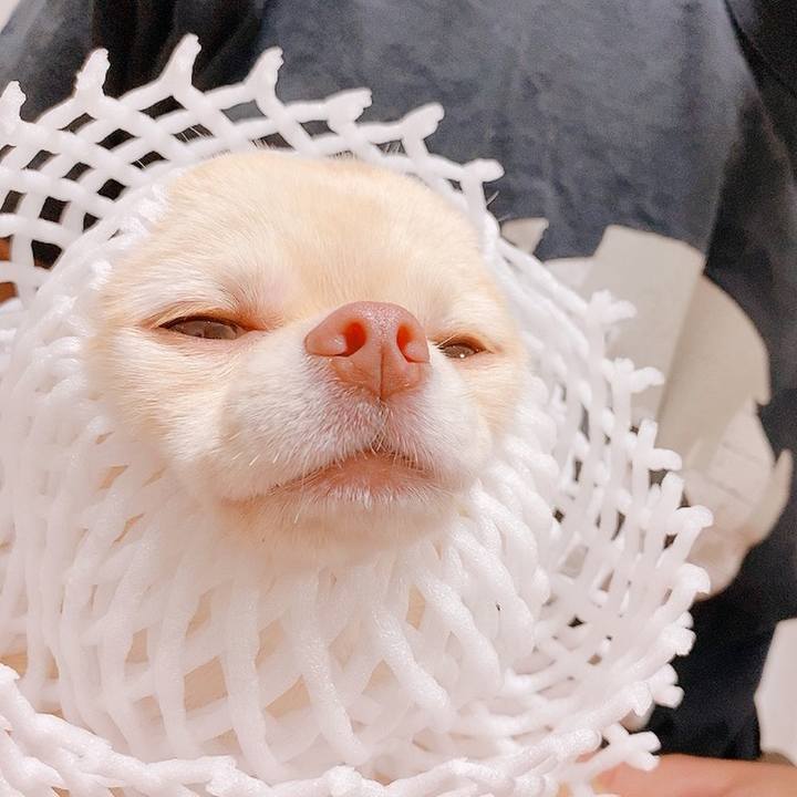 F1ad95f8 d47a 410c 9613 3c706fdd4358 1624418787673