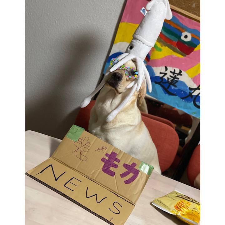 F1add8fc 314b 401e 8d28 dee56d1a1b5e 1654519203697