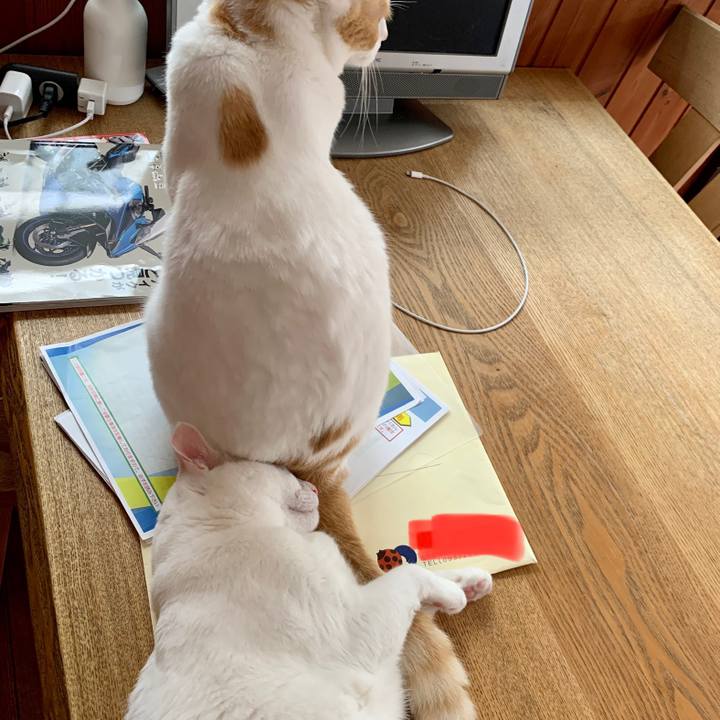 F1ade85c 1599 4ed1 ae10 9215cea30837 1660185578636