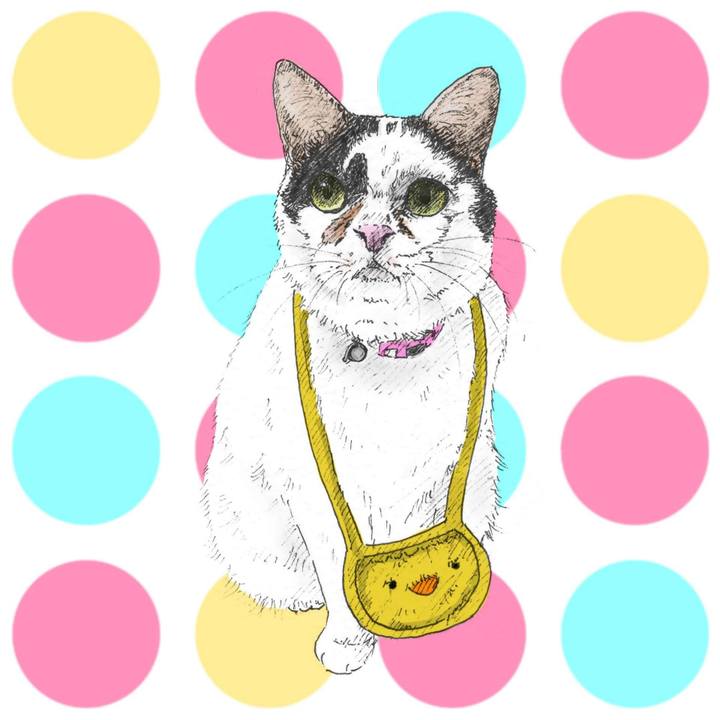 F1adfe68 851c 494e 8ce5 ec537ee4f4ba 1566396952686