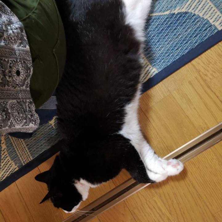 F1ae0922 c727 40c2 a056 acd9f2d268e3 1561555703959