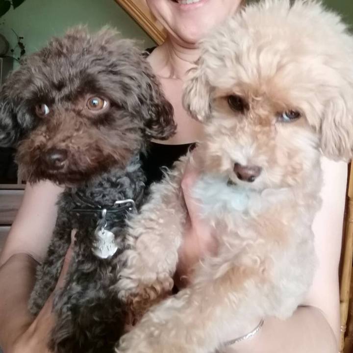 F1ae202a 9d59 4bc4 b5d6 e6c22c16f183 1530399687420