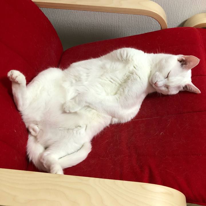 F1ae22ad e4fc 40d9 9883 6642c67215ce 1520771965656