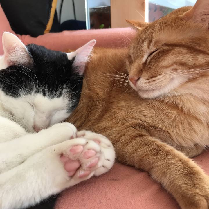 F1ae2fab 4eaa 4dfc 964b d7ee7bfdc1a1 1517284487771