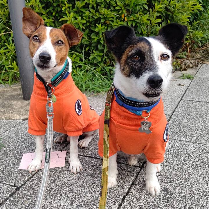 F1ae3e94 7dfe 4bc7 9346 134cd06c2c94 1688425908224