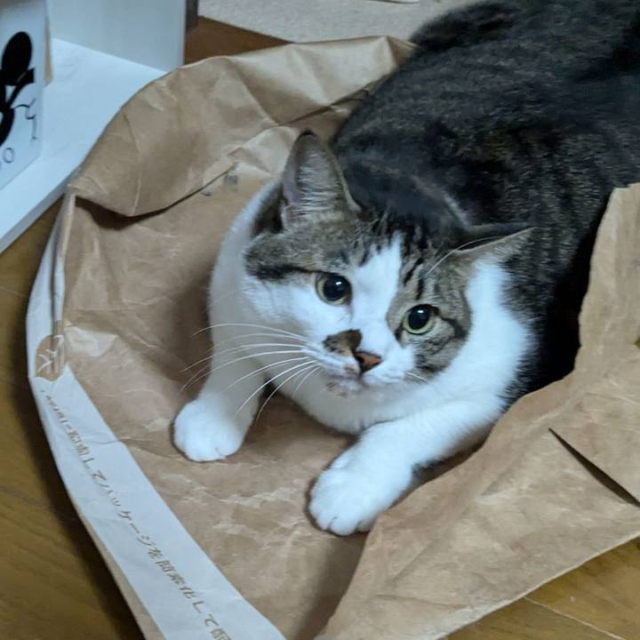 F1ae6d74 1653 4bf7 802e 85c0be28ff1f 1729377568697