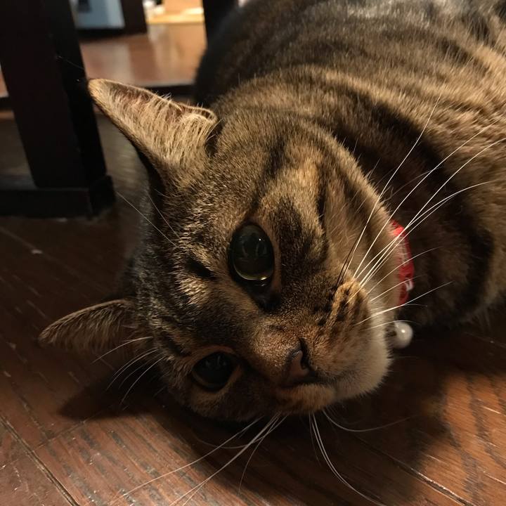 F1ae72a6 f80c 49eb 8109 d54b3380e73a 1647951830717