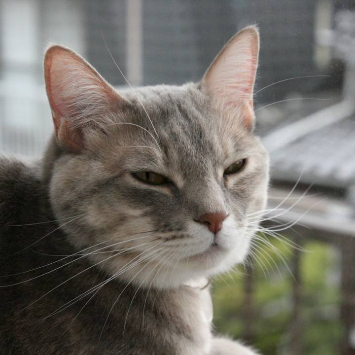 F1ae9da0 14cb 4053 8a3a ea51482b175c 1511002813945