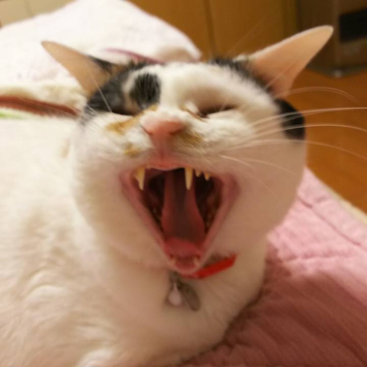 F1aeb807 6693 4862 af7f 7c8c583813ed 1525355490685