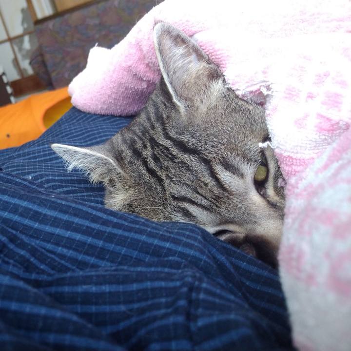 F1af9707 85aa 404c bfa9 7dbee668159c 1579905705949