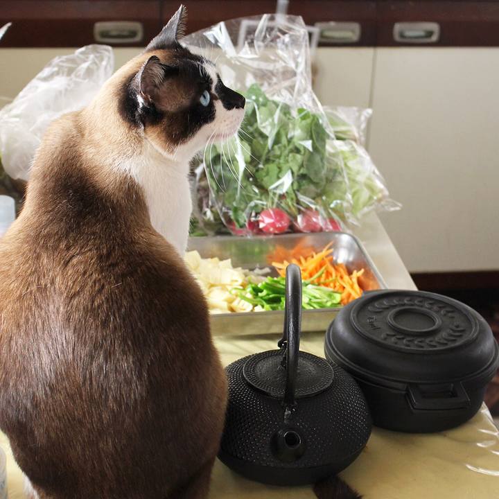 F1afa146 3bb2 455c 8047 6961af2656d8 1563270109403