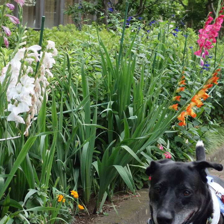 F1afa731 290d 478f 9bb8 a72d204143e6 1720310877913