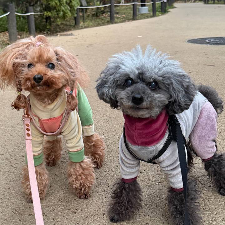 F1afc7c5 56a6 4c5a a475 f5e760ef3634 1767914747938