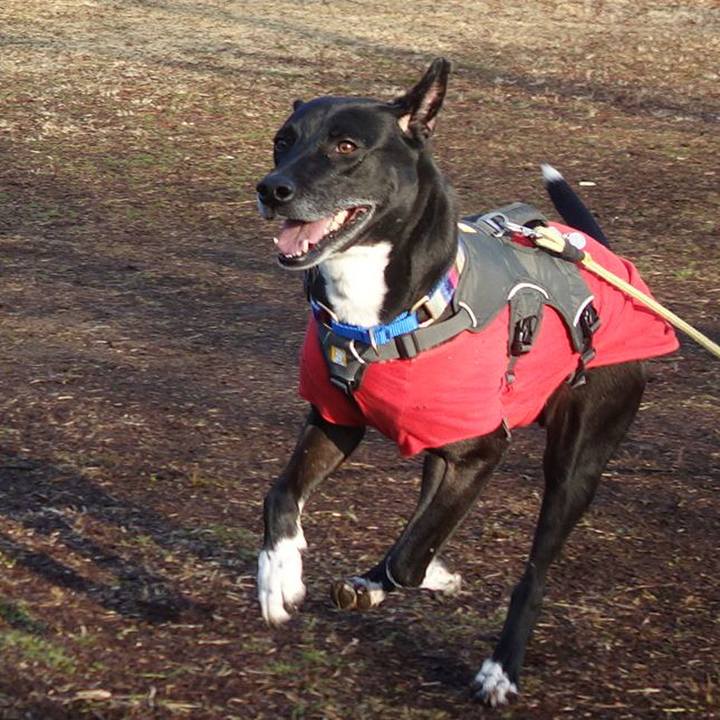 F1affb98 0c4c 4359 9bf2 7f5956b631be 1644887398975