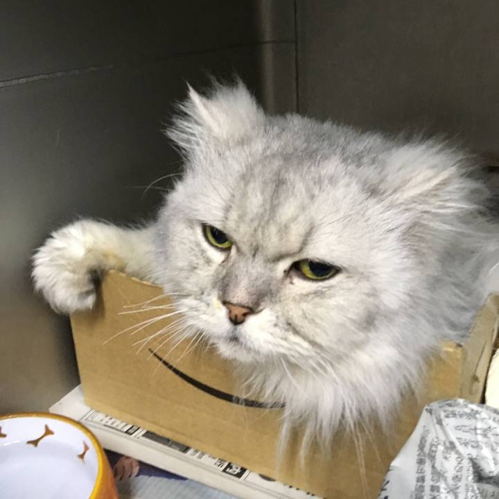 F1b0016e 8aaa 46a7 a4d7 974926c58281 1521260191335