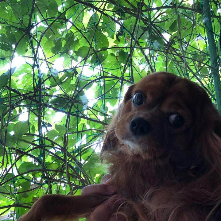 F1b009c9 73fd 4c93 aac4 f89234328082 1601173403533