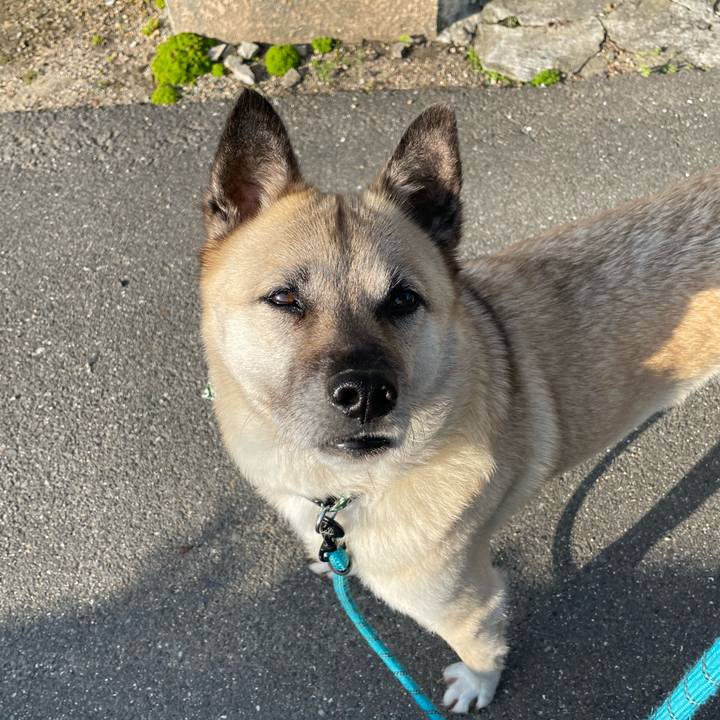 F1b0286e a0cc 4e77 b8f5 fcb44bb467a3 1683031959205