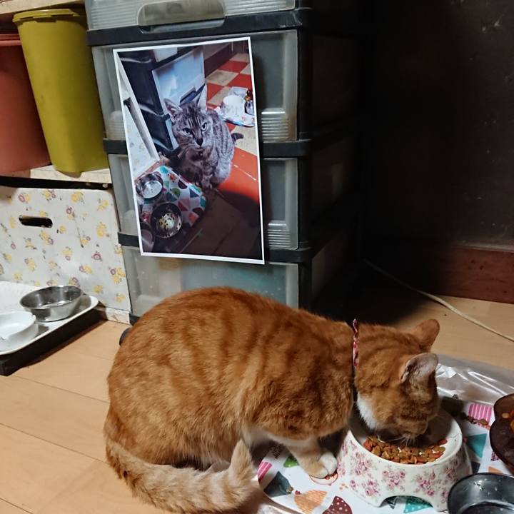 F1b06a98 797f 425a bd4e 351d32dc0802 1600892001589