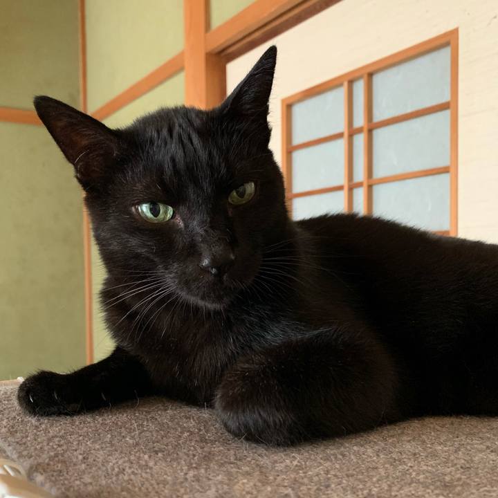 F1b0e20b d0f5 49f5 8a74 e5fc68e22b43 1567640795802